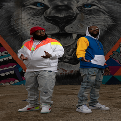 Black Lion Society